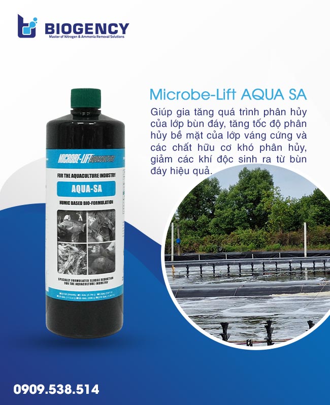 Dùng men vi sinh Microbe-Lift SA để khử mùi hôi thối đáy ao, giữ đáy ao luôn sạch. Dùng men vi sinh Microbe-Lift SA để khử mùi hôi thối đáy ao, giữ đáy ao luôn sạch.