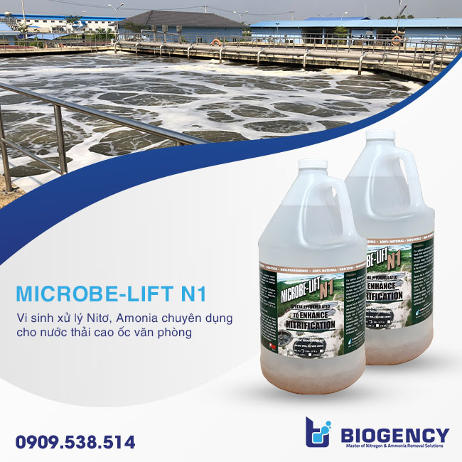 Nước thải cao ốc văn phòng bị vượt Nitơ Amonia, làm sao để xử lý? Nước thải cao ốc văn phòng bị vượt Nitơ Amonia, làm sao để xử lý?