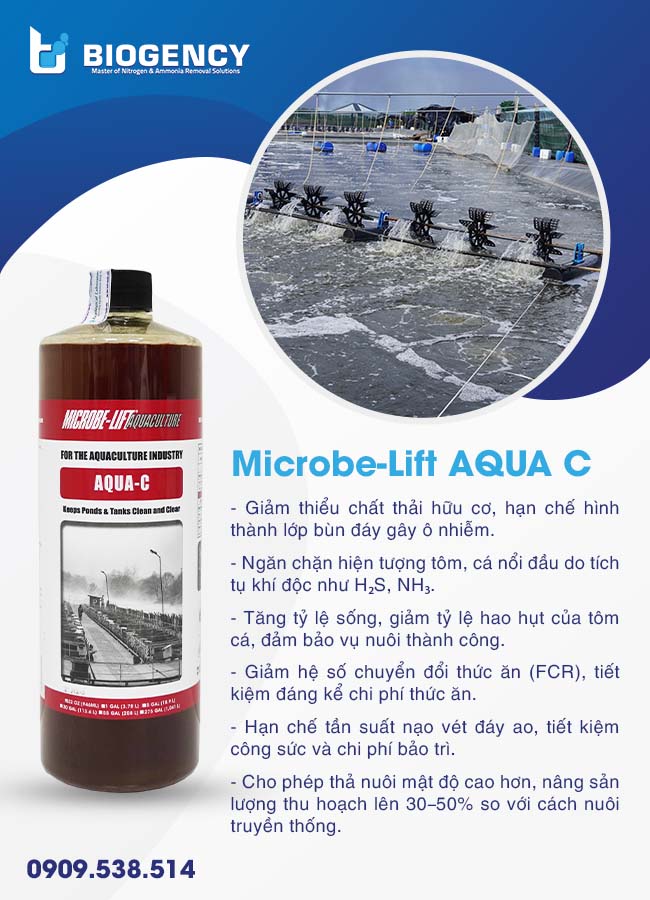 Quản lý chất lượng nước trong nuôi tôm siêu thâm canh hiệu quả Quản lý chất lượng nước trong nuôi tôm siêu thâm canh hiệu quả