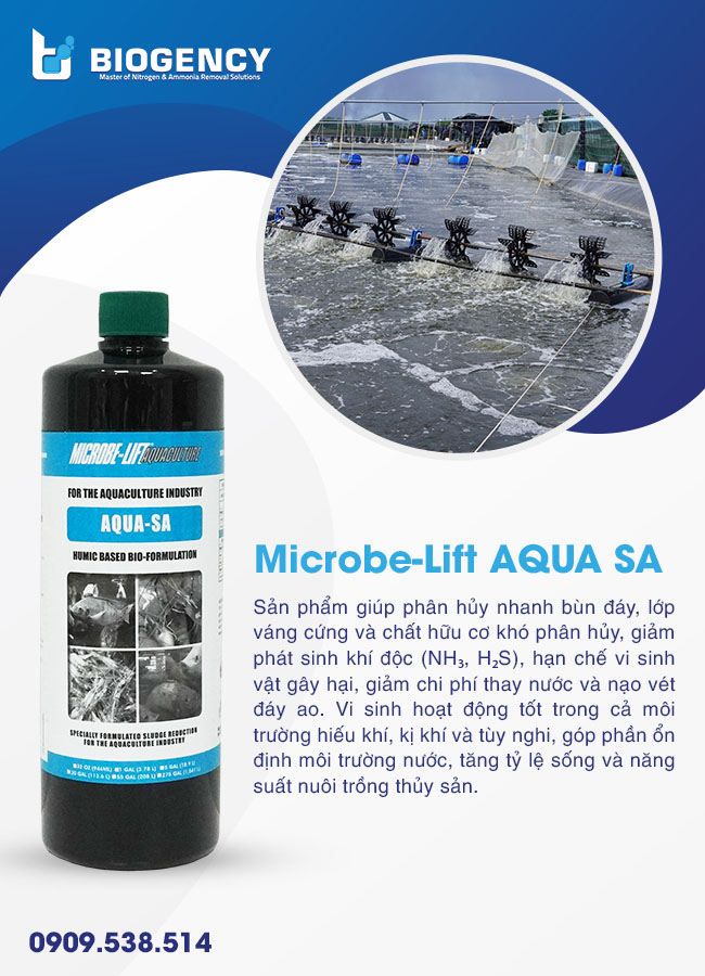 Quản lý chất lượng nước trong nuôi tôm siêu thâm canh hiệu quả Quản lý chất lượng nước trong nuôi tôm siêu thâm canh hiệu quả