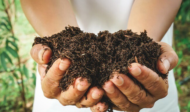 Ủ phân compost là phương pháp bền vững trong nông nghiệp và xử lý chất thải. Ủ phân compost là phương pháp bền vững trong nông nghiệp và xử lý chất thải.
