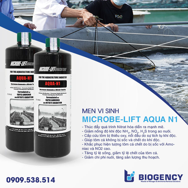 Men vi sinh xử lý khí độc ao tôm Microbe-Lift AQUA N1. Men vi sinh xử lý khí độc ao tôm Microbe-Lift AQUA N1.