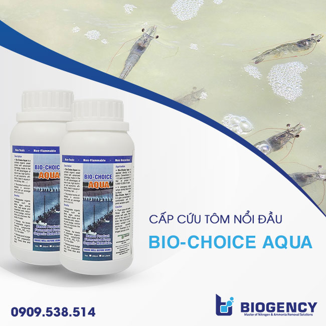 Bio-Choice AQUA - cấp cứu tôm nổi đầu. Bio-Choice AQUA - cấp cứu tôm nổi đầu.