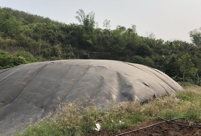 Hầm Biogas trại heo bị xẹp, ít sinh khí. Hầm Biogas trại heo bị xẹp, ít sinh khí.