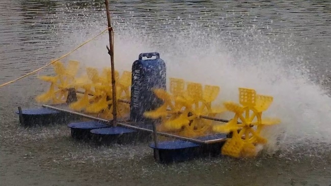 Nước mưa thường mang theo nhiều rủi ro ảnh hưởng đến chất lượng môi trường ao nuôi tôm Nước mưa thường mang theo nhiều rủi ro ảnh hưởng đến chất lượng môi trường ao nuôi tôm