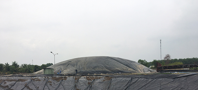 Một hầm Biogas trại heo sau khi điều chỉnh vận hành, tăng sinh nhiều khí.