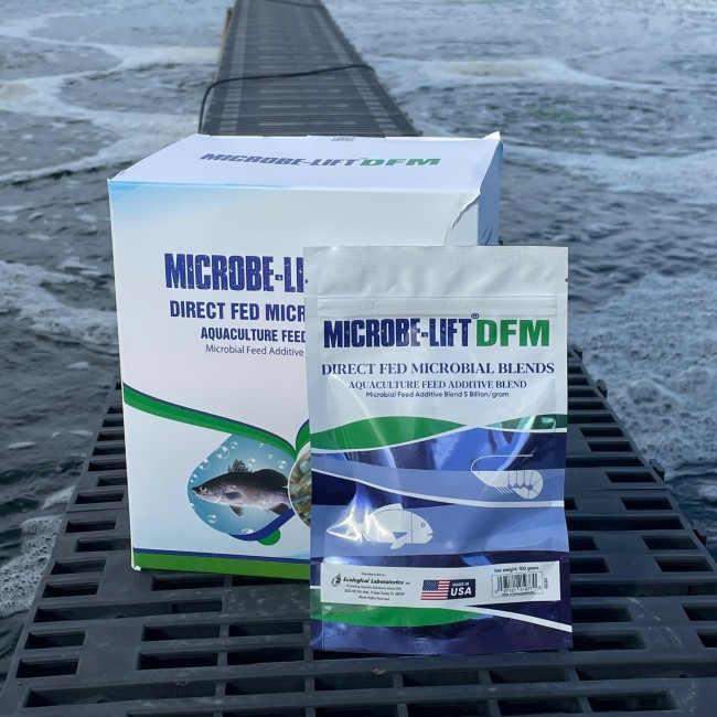 Hình ảnh sản phẩm men đường ruột Microbe-Lift DFM giúp tăng hiệu quả chuyển đổi thức ăn cho tôm. Hình ảnh sản phẩm men đường ruột Microbe-Lift DFM giúp tăng hiệu quả chuyển đổi thức ăn cho tôm.