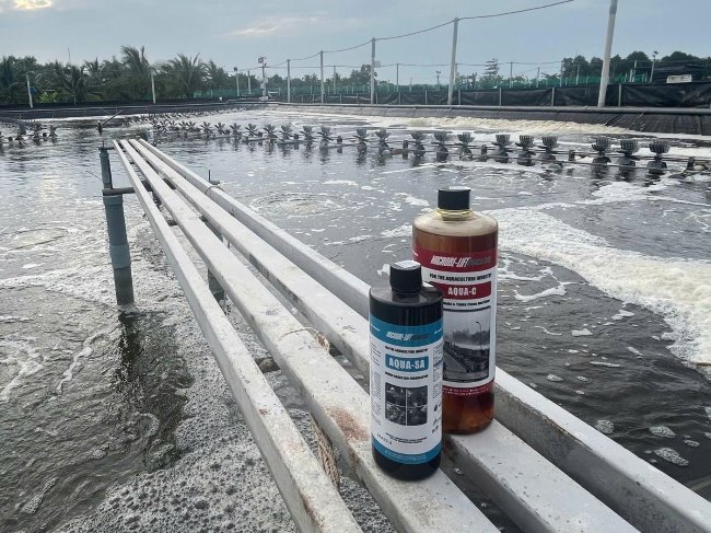 Định kỳ sử dụng AQUA và AQUA SA để xử lý nước ao tôm khi trời mưa, tránh biến đổi môi trường nước khi mưa lớn. Định kỳ sử dụng AQUA và AQUA SA để xử lý nước ao tôm khi trời mưa, tránh biến đổi môi trường nước khi mưa lớn.