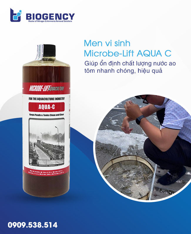Hướng dẫn các bước xử lý ao tôm khi trời mưa hiệu quả Hướng dẫn các bước xử lý ao tôm khi trời mưa hiệu quả