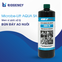 Mua chế phẩm vi sinh cho ao nuôi tôm chất lượng cao tại BIOGENCY Mua chế phẩm vi sinh cho ao nuôi tôm chất lượng cao tại BIOGENCY