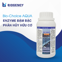 Mua chế phẩm vi sinh cho ao nuôi tôm chất lượng cao tại BIOGENCY Mua chế phẩm vi sinh cho ao nuôi tôm chất lượng cao tại BIOGENCY