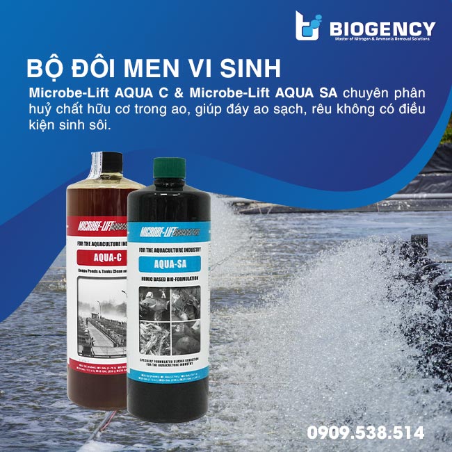 Sử dụng men vi sinh, ngăn ngừa sinh sôi rong rêu trong ao tôm. Sử dụng men vi sinh, ngăn ngừa sinh sôi rong rêu trong ao tôm.