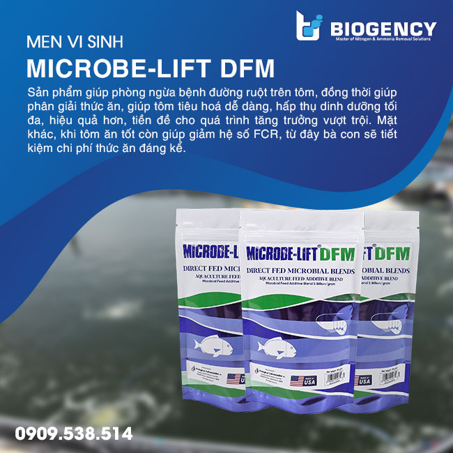 Bổ sung men vi sinh Microbe-Lift DFM cho đường ruột tôm khỏe. Bổ sung men vi sinh Microbe-Lift DFM cho đường ruột tôm khỏe.