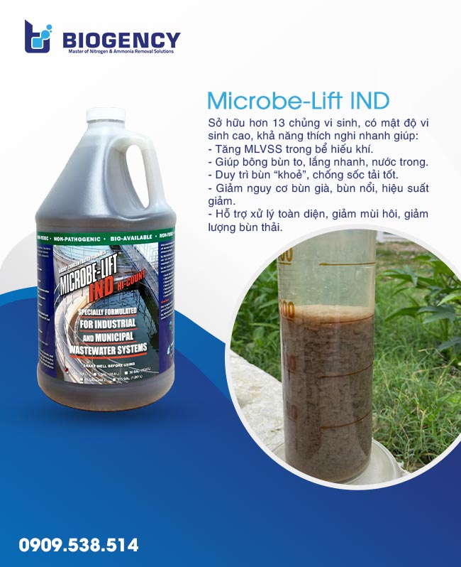 Bổ sung Microbe-Lift để duy trì vi sinh ở trạng thái "khỏe" nhất. Bổ sung Microbe-Lift để duy trì vi sinh ở trạng thái "khỏe" nhất.