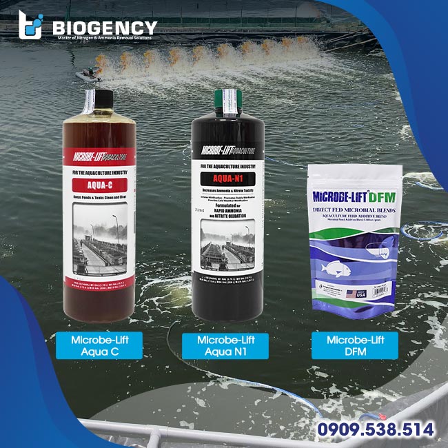 Một số dòng men vi sinh được ưa chuộng hiện nay. Một số dòng men vi sinh được ưa chuộng hiện nay.