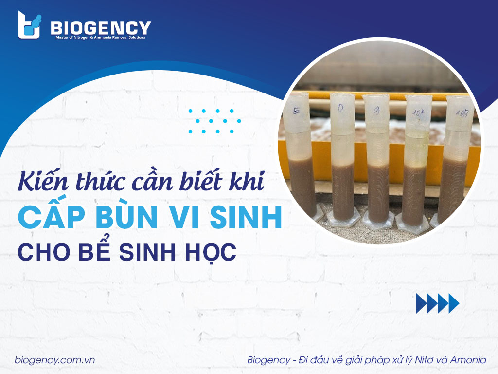 Kiến thức cần biết khi cấp bùn vi sinh cho bể sinh học Kiến thức cần biết khi cấp bùn vi sinh cho bể sinh học