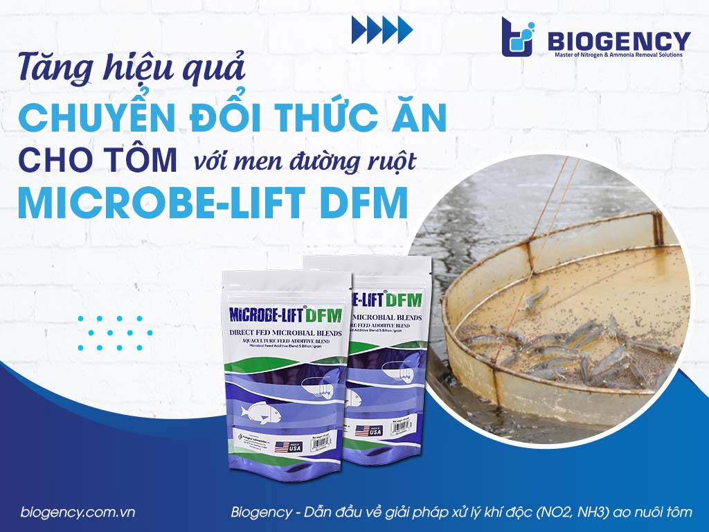 Tăng hiệu quả chuyển đổi thức ăn cho tôm với men đường ruột Microbe-Lift DFM