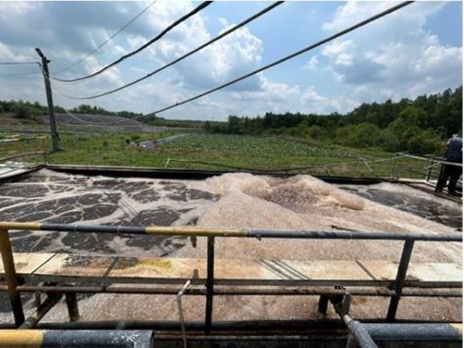 Quá trình chăn nuôi heo quy mô lớn phát sinh nhiều nước thải và nồng độ ô nhiễm cao khó xử lý. Quá trình chăn nuôi heo quy mô lớn phát sinh nhiều nước thải và nồng độ ô nhiễm cao khó xử lý.