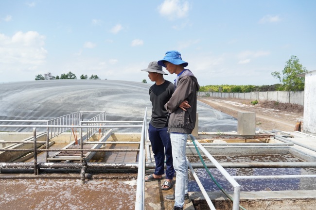 Kỹ thuật BIOGENCY khảo sát hệ thống để đưa ra phương án xử lý tối ưu nhất cho khách hàng. Kỹ thuật BIOGENCY khảo sát hệ thống để đưa ra phương án xử lý tối ưu nhất cho khách hàng.