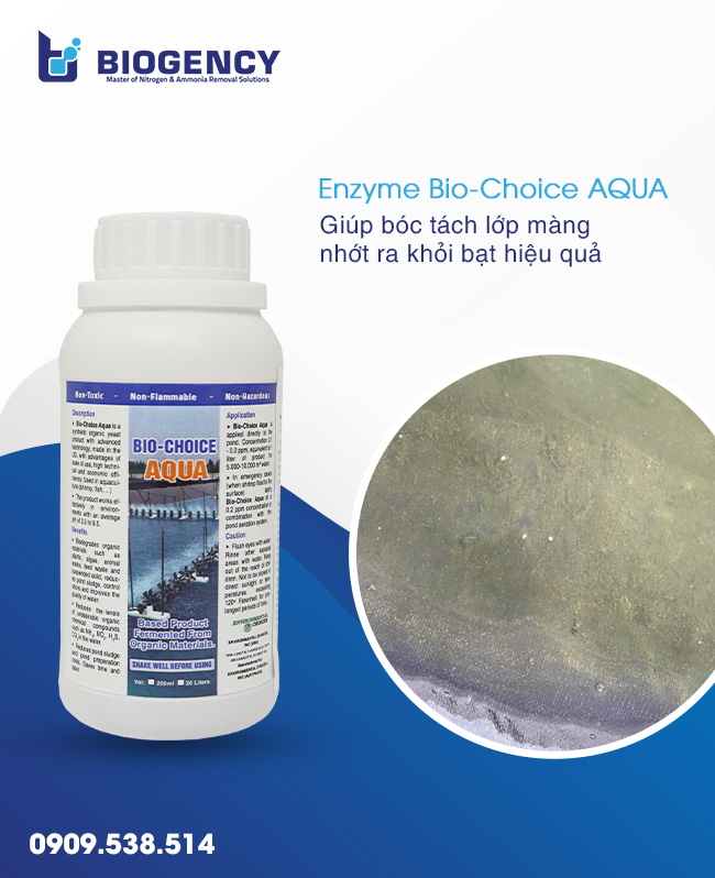 Xử lý nhớt đóng lớp dày trong ao tôm và hướng dẫn từ kỹ thuật BIOGENCY Xử lý nhớt đóng lớp dày trong ao tôm và hướng dẫn từ kỹ thuật BIOGENCY