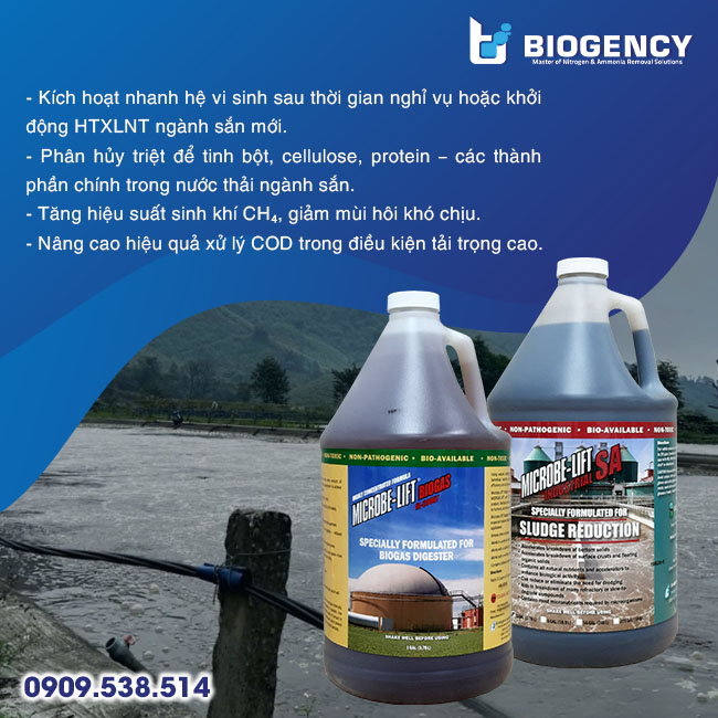 Xử lý nước thải ngành sắn đạt chuẩn QCVN 63:2017/BTNMT – Tối ưu hiệu quả với công nghệ vi sinh Microbe-Lift Xử lý nước thải ngành sắn đạt chuẩn QCVN 63:2017/BTNMT – Tối ưu hiệu quả với công nghệ vi sinh Microbe-Lift