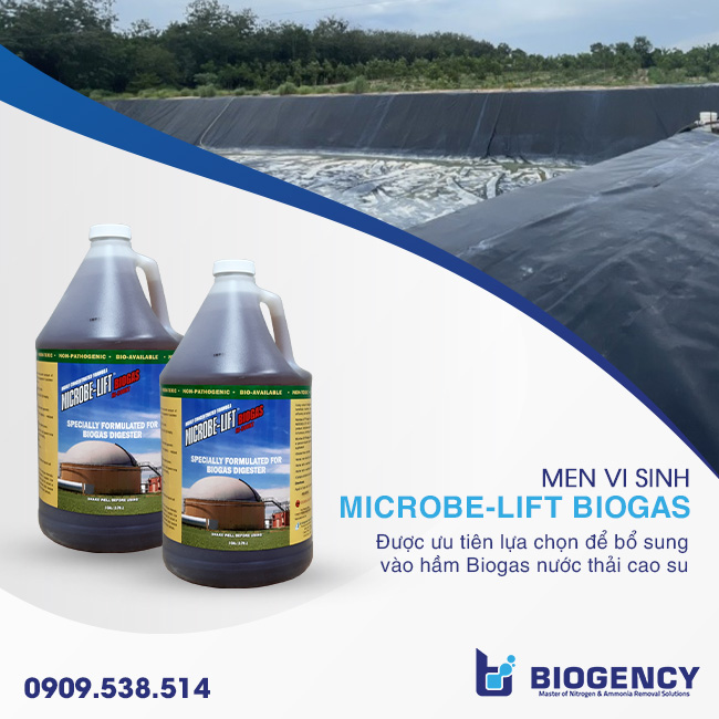 Bổ sung vi sinh cho hầm Biogas nước thải cao su để tăng hiệu suất xử lý nước thải Bổ sung vi sinh cho hầm Biogas nước thải cao su để tăng hiệu suất xử lý nước thải