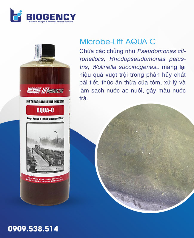 Xử lý nhớt đóng lớp dày trong ao tôm và hướng dẫn từ kỹ thuật BIOGENCY Xử lý nhớt đóng lớp dày trong ao tôm và hướng dẫn từ kỹ thuật BIOGENCY