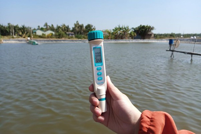 Kiểm soát độ mặn trong ao đóng vai trò quan trọng. Kiểm soát độ mặn trong ao đóng vai trò quan trọng.