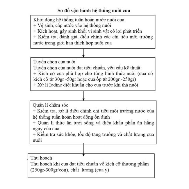 Sơ đồ vận hành hệ thống nuôi cua tuần hoàn nước. Sơ đồ vận hành hệ thống nuôi cua tuần hoàn nước.