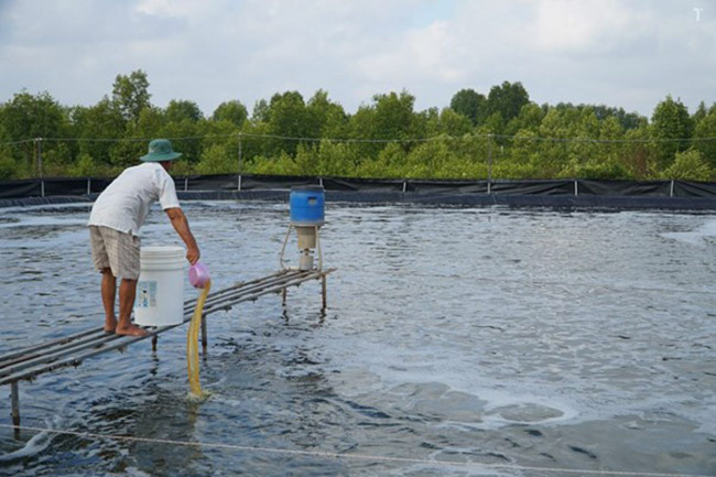 Sử dụng Zeolite trong nuôi trồng thủy sản đúng liều lượng. Sử dụng Zeolite trong nuôi trồng thủy sản đúng liều lượng.