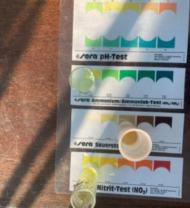 Kết quả test NO2 của ao tôm bị khí độc sau 5 ngày sử dụng men vi sinh Microbe-Lift AQUA N1. Kết quả test NO2 của ao tôm bị khí độc sau 5 ngày sử dụng men vi sinh Microbe-Lift AQUA N1.