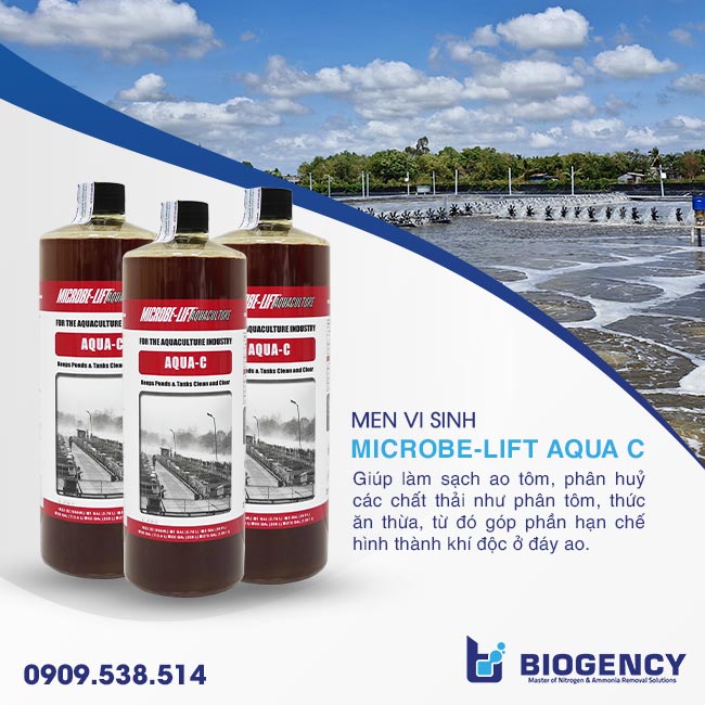 Bổ sung Microbe-Lift AQUA C giúp làm sạch ao tôm. Bổ sung Microbe-Lift AQUA C giúp làm sạch ao tôm.