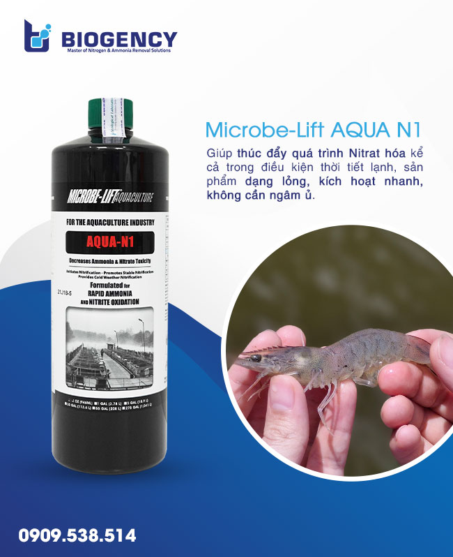 Men vi sinh xử lý khí độc Microbe-Lift AQUA N1. Men vi sinh xử lý khí độc Microbe-Lift AQUA N1.