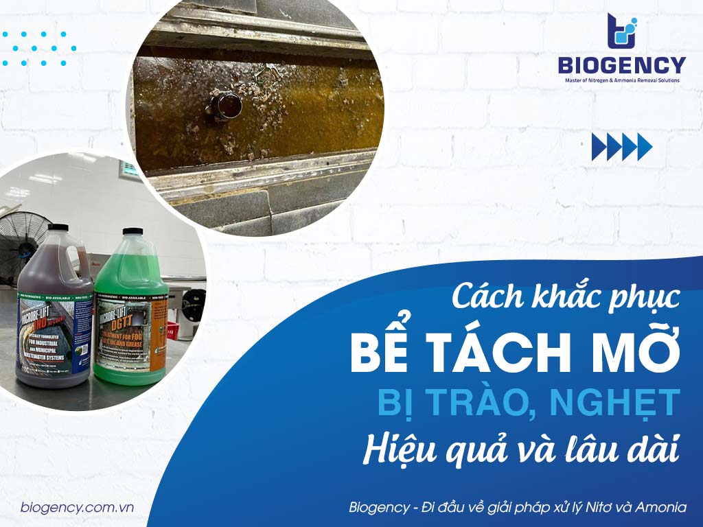 Cách khắc phục bể tách mỡ bị trào, nghẹt hiệu quả và lâu dài Cách khắc phục bể tách mỡ bị trào, nghẹt hiệu quả và lâu dài