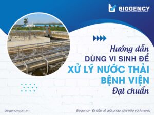 Hướng dẫn dùng vi sinh để xử lý nước thải bệnh viện đạt chuẩn