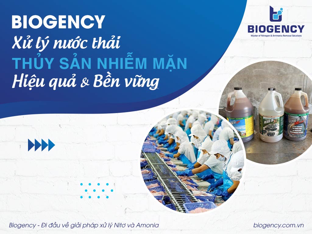 BIOGENCY – Xử lý nước thải thủy sản nhiễm mặn hiệu quả & bền vững
