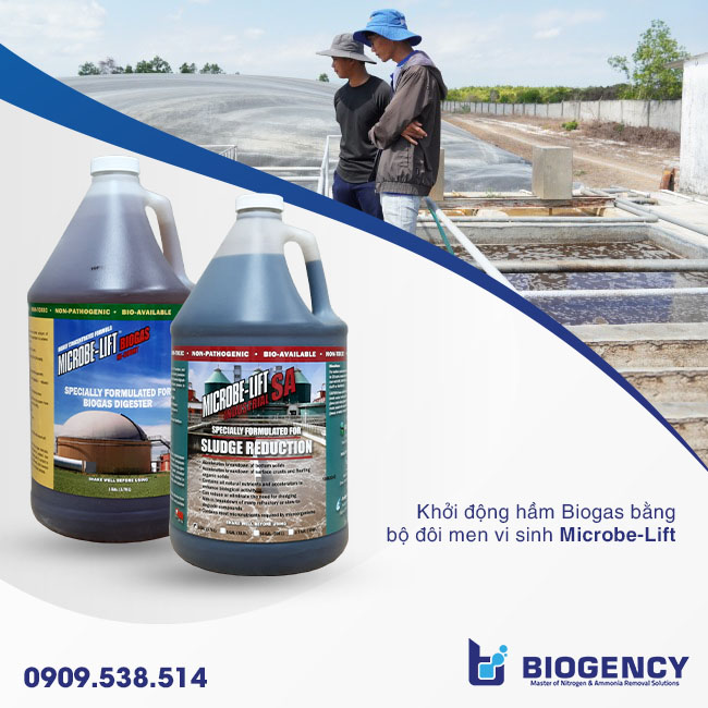 Giảm thời gian khởi động hầm Biogas HTXLNT tinh bột sắn nhờ áp dụng 6 yếu tố sau Giảm thời gian khởi động hầm Biogas HTXLNT tinh bột sắn nhờ áp dụng 6 yếu tố sau