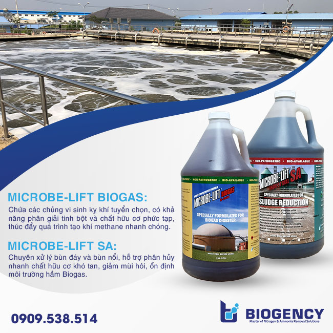 Quy trình khởi động nhanh hầm Biogas với men vi sinh Microbe-Lift - HTXLNT tinh bột sắn Quy trình khởi động nhanh hầm Biogas với men vi sinh Microbe-Lift - HTXLNT tinh bột sắn