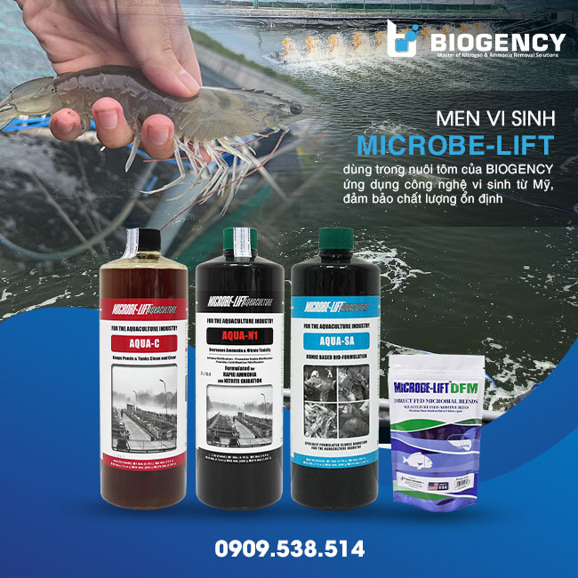 BIOGENCY & Giải pháp nuôi tôm bền vững, an toàn sinh học BIOGENCY & Giải pháp nuôi tôm bền vững, an toàn sinh học