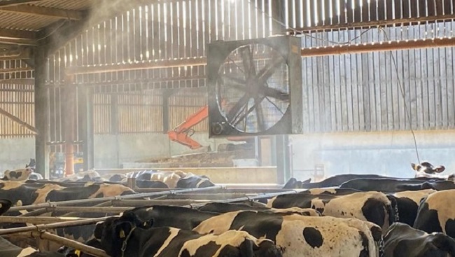 Quạt hút dùng trong chăn nuôi. Quạt hút dùng trong chăn nuôi.