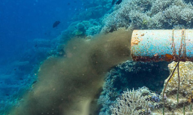 Nước thải từ các nhà máy chưa xử lý thải trực tiếp ra môi trường gây ô nhiễm nguồn nước. Nước thải từ các nhà máy chưa xử lý thải trực tiếp ra môi trường gây ô nhiễm nguồn nước.