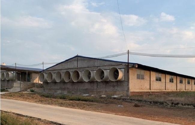 Quạt hút dùng trong chăn nuôi giúp hút khí nóng, làm mát nhân tạo, duy trì nhiệt độ chuồng trại ổn định. Quạt hút dùng trong chăn nuôi giúp hút khí nóng, làm mát nhân tạo, duy trì nhiệt độ chuồng trại ổn định.