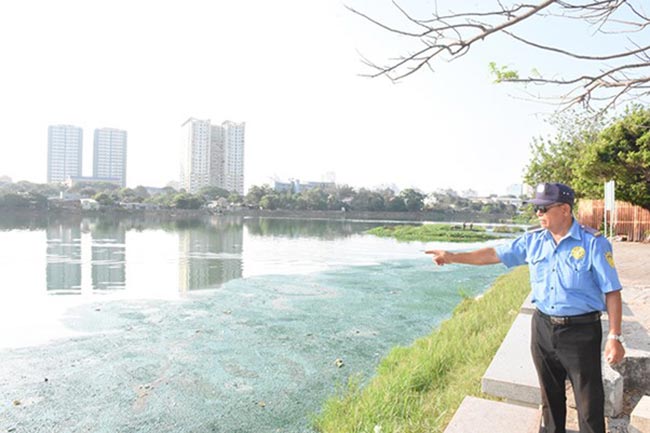 Hồ Bàu Sen bị ô nhiễm nghiêm trọng do tảo chết nổi xanh hồ (Nguồn: baobariavungtau). Hồ Bàu Sen bị ô nhiễm nghiêm trọng do tảo chết nổi xanh hồ (Nguồn: baobariavungtau).