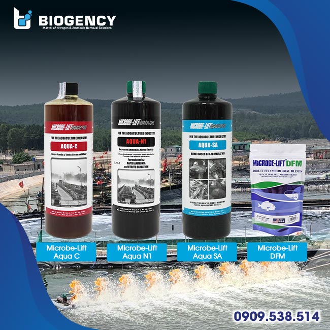 Các sản phẩm men vi sinh Microbe-Lift được ưa chuộng trong nuôi tôm thâm canh. Các sản phẩm men vi sinh Microbe-Lift được ưa chuộng trong nuôi tôm thâm canh.