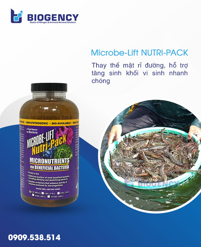 Men vi sinh thay thế mật rỉ đường. Men vi sinh thay thế mật rỉ đường.