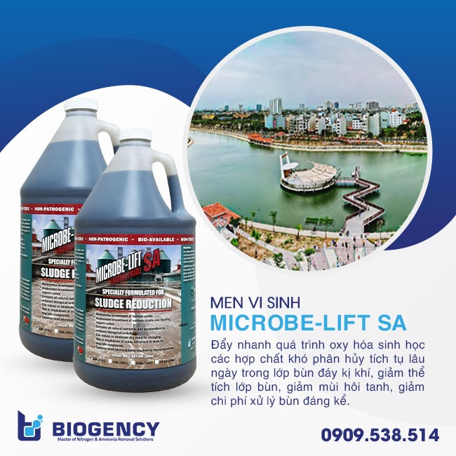 Men vi sinh xử lý bùn Microbe-Lift SA. Men vi sinh xử lý bùn Microbe-Lift SA.
