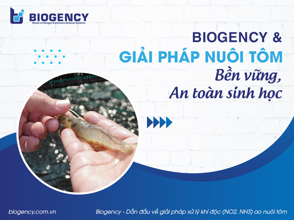 BIOGENCY & Giải pháp nuôi tôm bền vững, an toàn sinh học BIOGENCY & Giải pháp nuôi tôm bền vững, an toàn sinh học