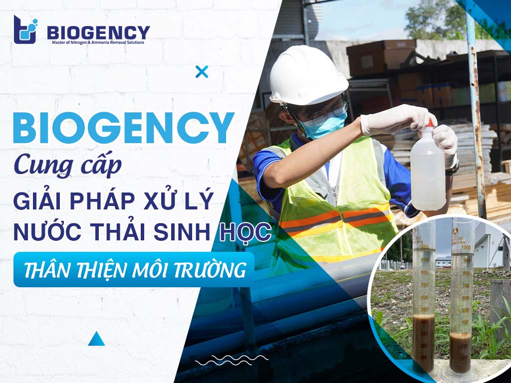 BIOGENCY - Cung cấp giải pháp xử lý nước thải sinh học thân thiện môi trường BIOGENCY - Cung cấp giải pháp xử lý nước thải sinh học thân thiện môi trường