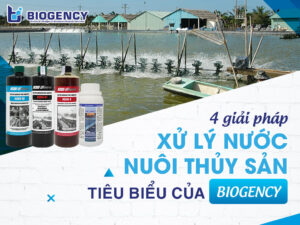 4 giải pháp xử lý nước nuôi thủy sản tiêu biểu của BIOGENCY