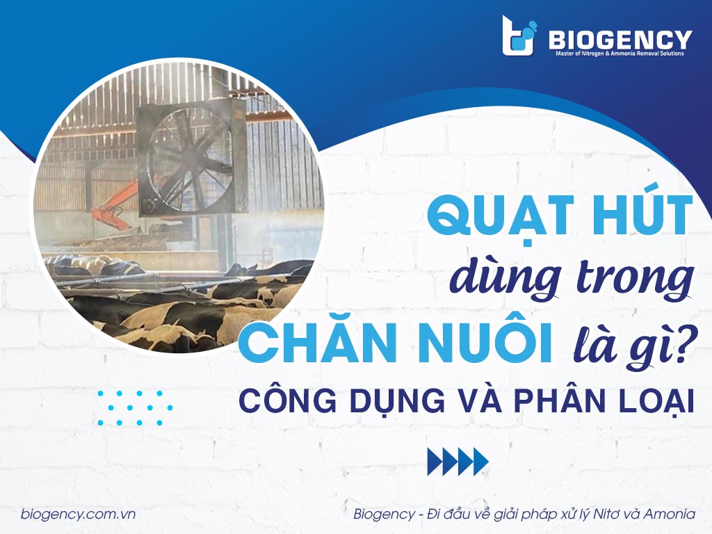 Quạt hút dùng trong chăn nuôi là gì? Công dụng và phân loại Quạt hút dùng trong chăn nuôi là gì? Công dụng và phân loại